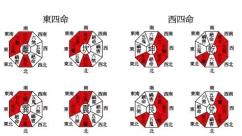 西四命的人|西四命方位詳解 西四命是什麼